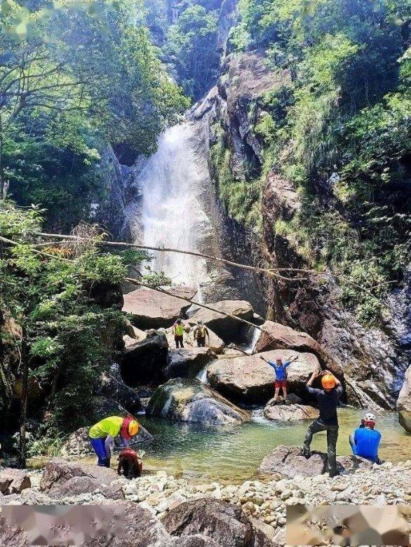 机智问答-为什么微信的置顶突然没了?有问必答